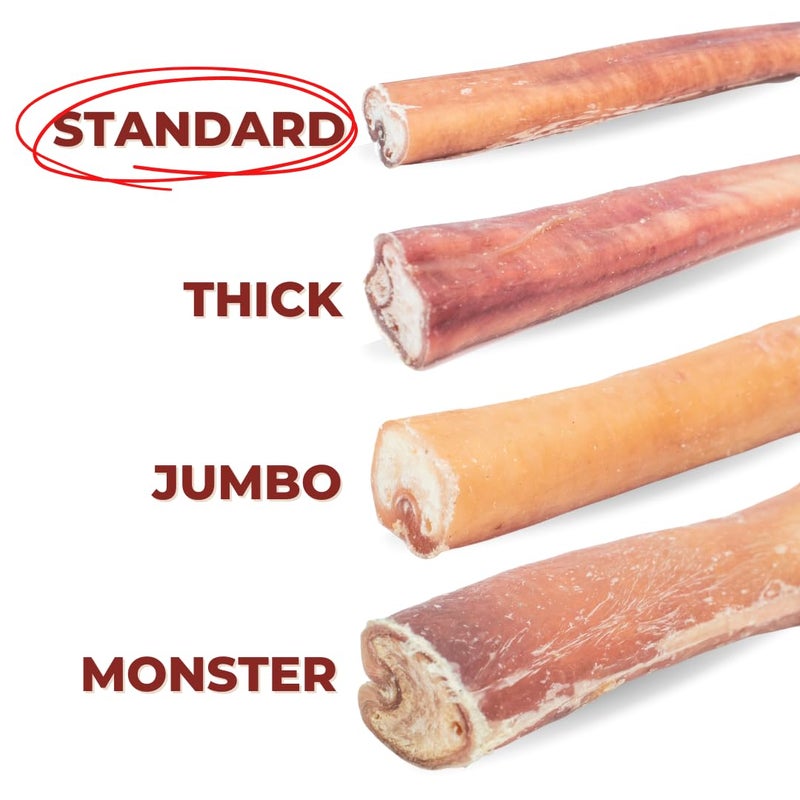 Bully Bunches Premium 12 Inch Standard Odor Free Bully Sticks for Small & Medium Dogs - Long Lasting Chews for Oral Care - Rawhide-Free, All Natural Beef Dog Treats, Packaging May Vary (5 Pk) - Image 3